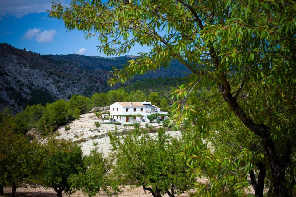 Cortijo Blanco Apartment Vélez Blanco Exterior foto